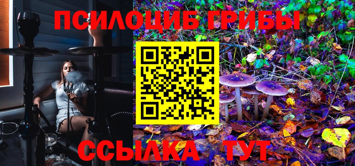 Галлюциногенные грибы Magic Shrooms  Вход с VPN  цены   Псилоцибиновые грибы Magic Shrooms  Сосновоборск 